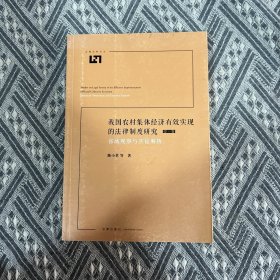 我国农村集体经济有效实现的法律制度研究：省域观察与实证解析