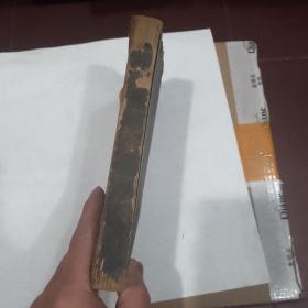 鍼灸学
