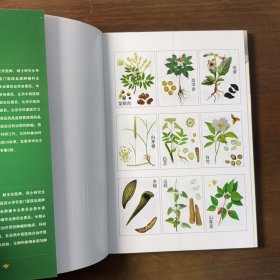 国家级名老中医治肿瘤看家方