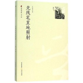 光线笔直地照射/刘宁/中短篇小说集 9787537845885