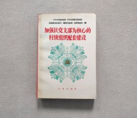 加强以党支部为核心的村级组织配套建设