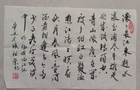 张祖荣 书法 《明 杨慎临江仙》