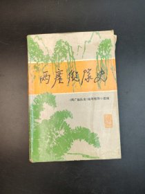 两广纵队史