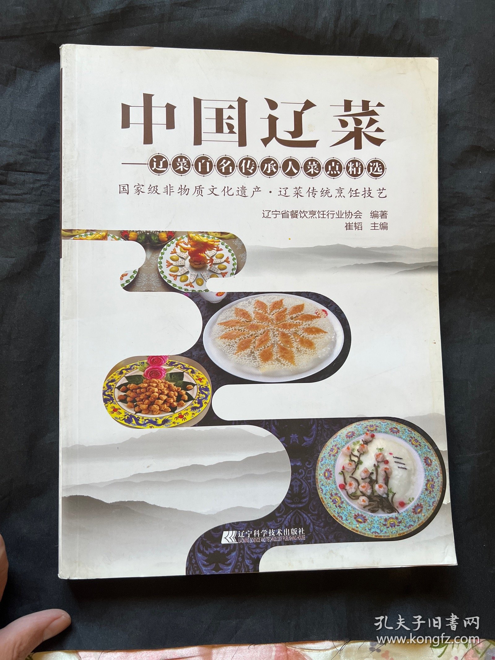 中国辽菜 辽宁科学技术出版社