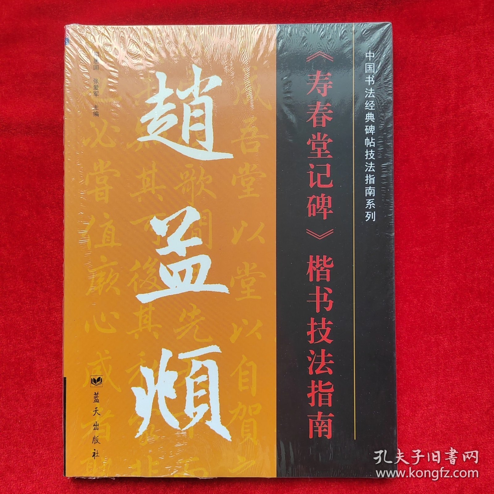 中国书法经典碑帖技法指南系列：赵孟頫《寿春堂记碑》楷书技法指南【正版 未拆封】