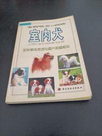 宠物喂养与训练：室内犬