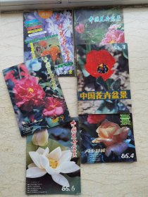 中国花卉盆景 1985年第2/3/4/5/6/9期 盆景造型 十大名花 山茶花培育 郁金香栽培 月季 荷花6本合售，单本另计