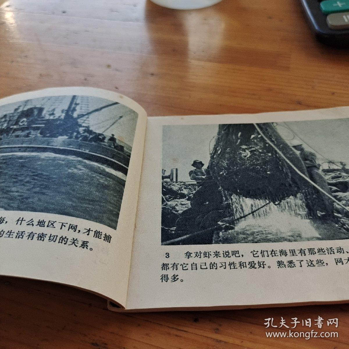 点击查看原图 对虾