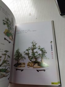 中国盆景艺术鉴赏全集