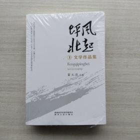 好品相，全新未拆封《风起坪北》（全三册）