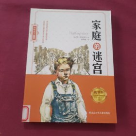 家庭的迷宫/利哈诺夫作品集