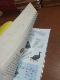 中国少儿必读金典·全优新版：恐龙世界大百科