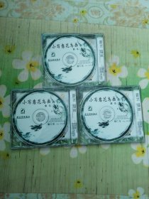 小写意花鸟画教学 禽鸟 3VCD