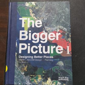 The Bigger Picture I Designing Better Places EDAW| AECOM Design Plarningblack dog publishing