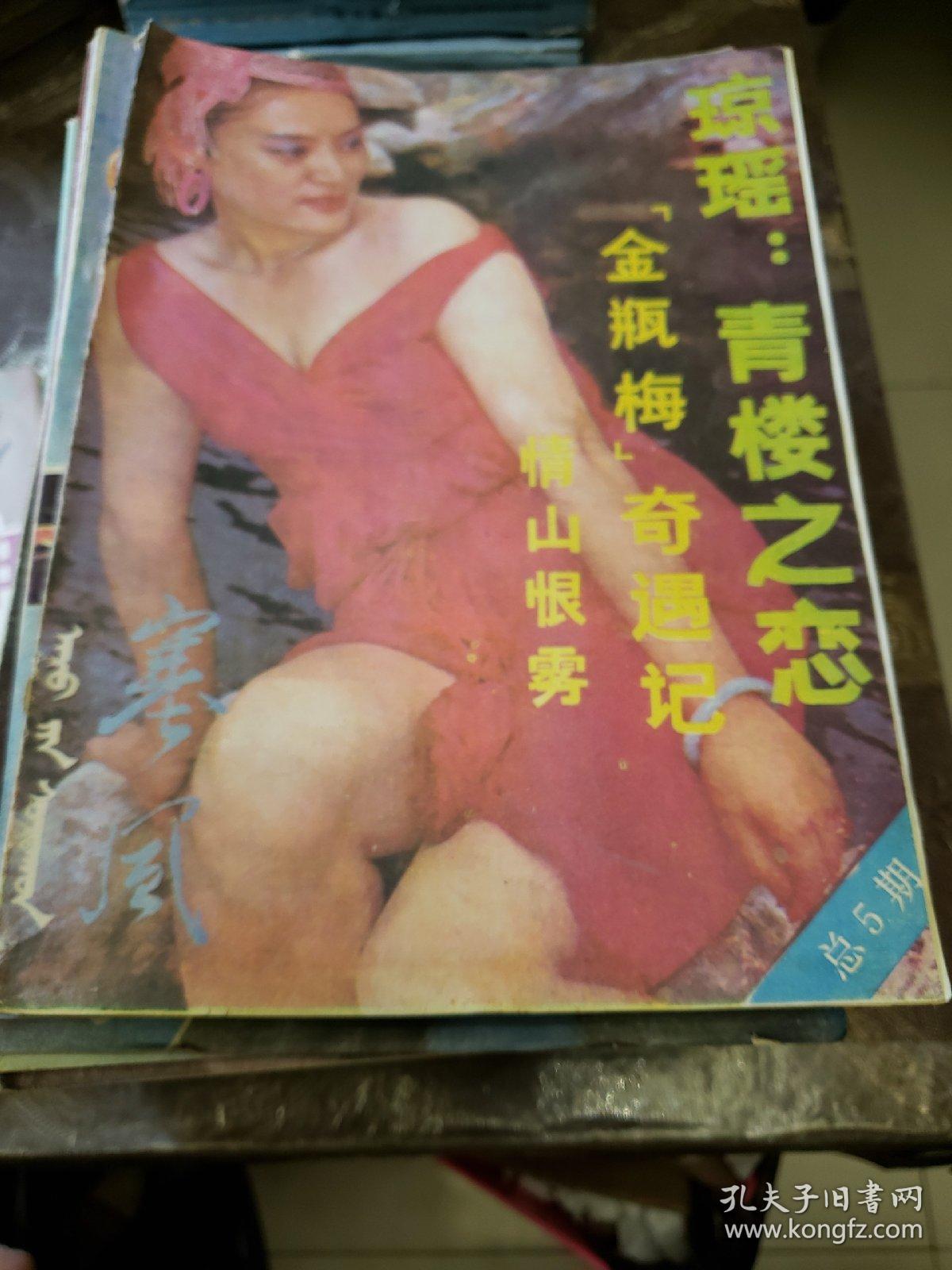 点击查看原图 80年代小说专刊等(42本合售)