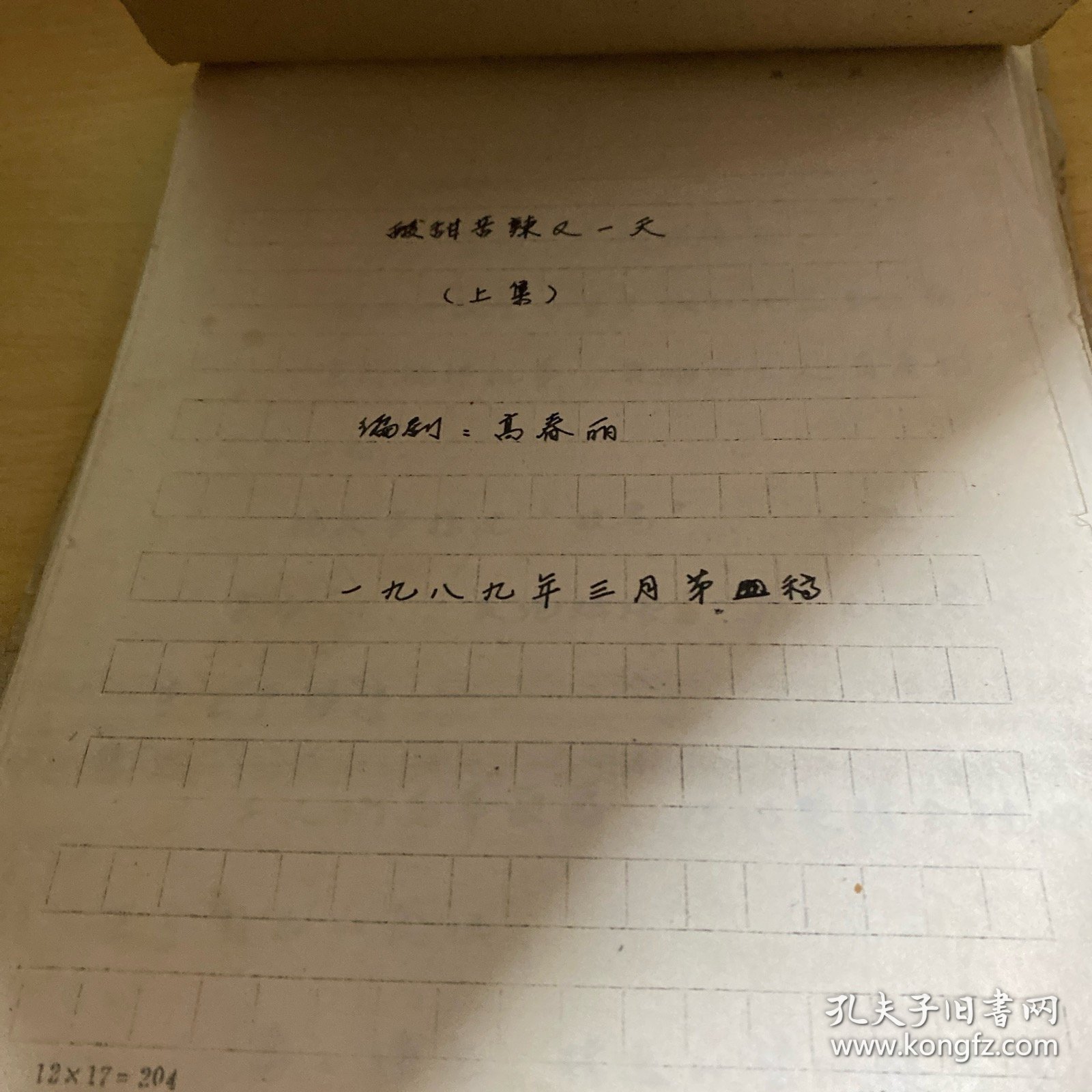 电视剧 酸甜苦辣有一天  手写稿