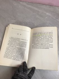 君王们的信仰【 开裂划线】