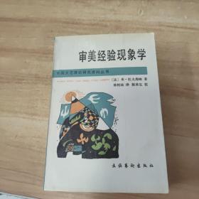 审美经验现象学