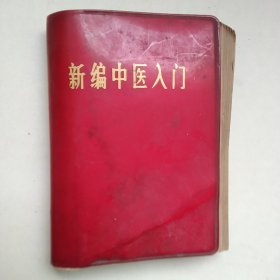 新编中医入门
