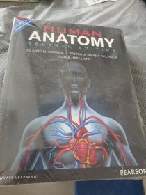 HUMAN ANATOMY