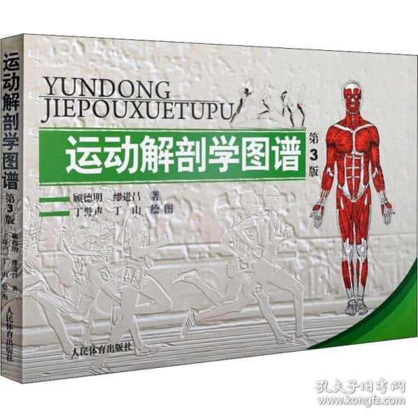 运动解剖学图谱 第3版 顾德明,缪进昌 9787500943815 人民体育出版社