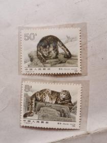 邮票 T153 雪豹