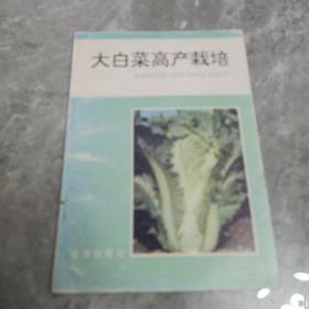 大白菜高产栽培