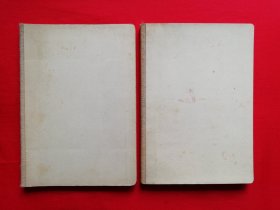 5插图日记本芯（36开，无塑皮）两本合售