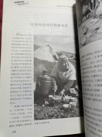 新疆民俗游记
