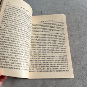 Z理论
