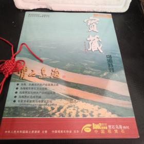 宝藏赏石乌海特刊（2012）