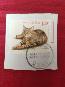 中国狸花猫信销邮票.