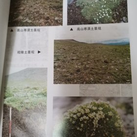 青海土壤