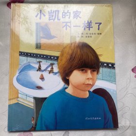 小凯的家不一样了：启发精选国际大师名作绘本 精装 白鸽书世界