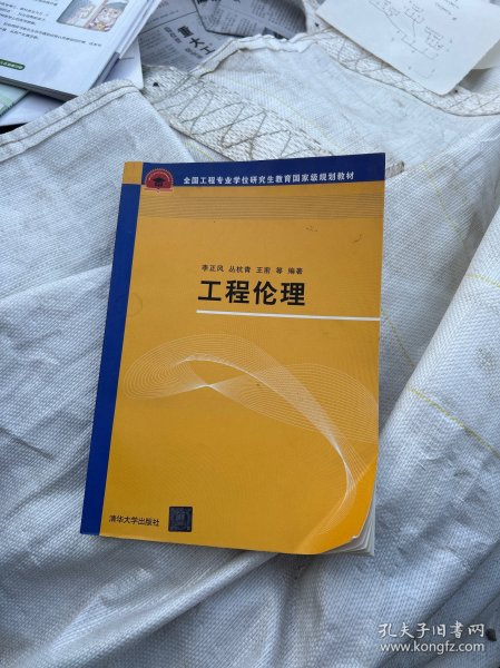 工程伦理/全国工程专业学位研究生教育国家级规划教材