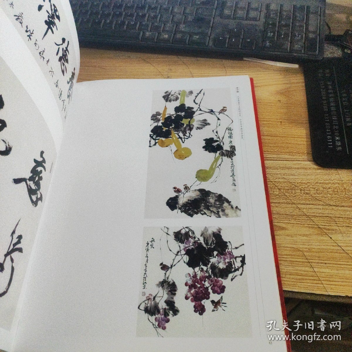 蒲公英 《北京慈善艺术院书画集》