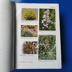 昆仑植物志（第1－4卷）全套四册 精装