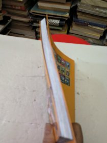 大中华寻宝系列16 湖南寻宝记 我的第一本科学漫画书