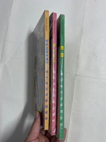 2VCD 宫崎骏畅销经典卡通 龙猫 天空之城 小魔女  未开封