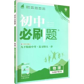 理想树2020版初中必刷题物理九年级下册RJ人教版配狂K重点