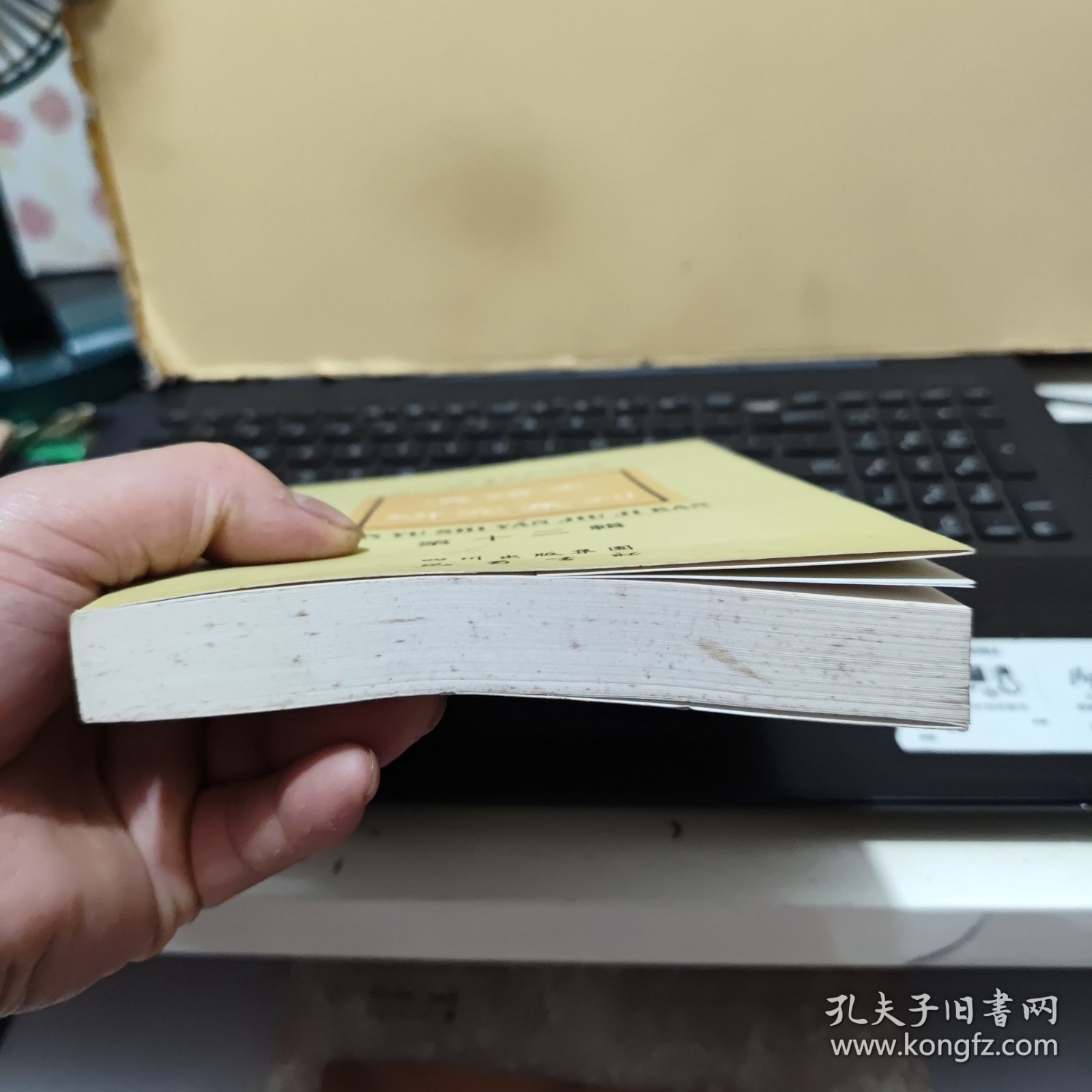 汉语史研究集刊——第十二辑；收录有；名词词类活用的语法，佛经翻译中格范涛的系统对应、句法约束与动词的语法比、甲骨卜辞句型研究、先秦汉语兼谈论语、诗经形容词、西周时期否定副词、唐代文献中指示代词、祖堂集中语气词、明代笔记小说俗语词、说话的历史演变、说甲骨文男及相关词汇、近代汉语俚俗词、两汉魏晋南北朝史书语词、太平经语词札记、南海寄归内法传等等详细参照书影（内页干净无笔记，详细目录参照书影）客厅6-8