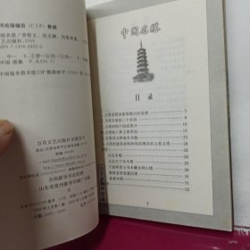 中国名塔:集中华古代名塔之大成