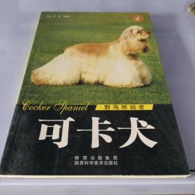 世界名犬：可卡犬