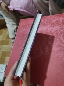 混沌与秩序1：变革时代企业领先之道