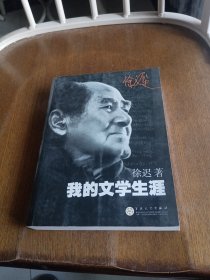 我的文学生涯