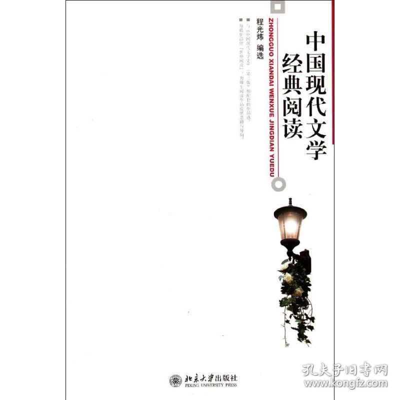 【八五品】 中国现代文学经典阅读