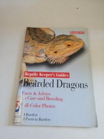 rearded keeper's guides bearded dragons长着胡须的龙是饲养员的向导