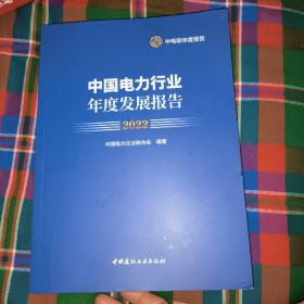 2022中国电力行业年度发展报告