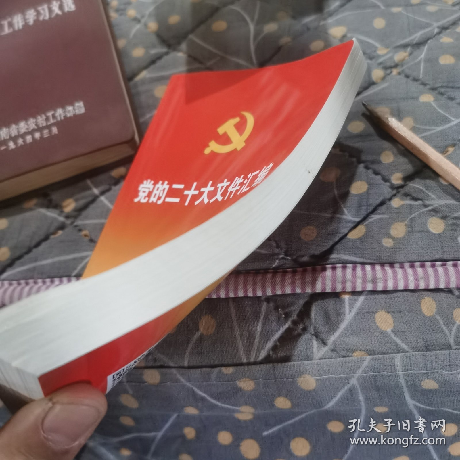 党的二十大文件汇编（口袋本）