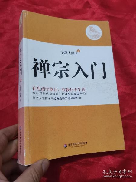 禅宗入门：—禅门泰斗净慧法师遗著纪念珍藏版，最全面了解禅宗的好书